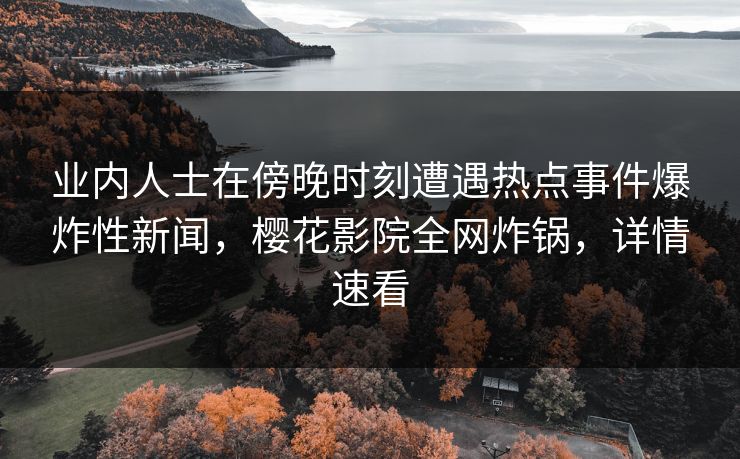 业内人士在傍晚时刻遭遇热点事件爆炸性新闻，樱花影院全网炸锅，详情速看
