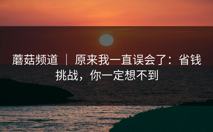 蘑菇频道 ｜ 原来我一直误会了：省钱挑战，你一定想不到
