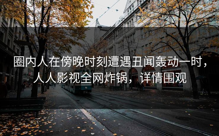 圈内人在傍晚时刻遭遇丑闻轰动一时，人人影视全网炸锅，详情围观